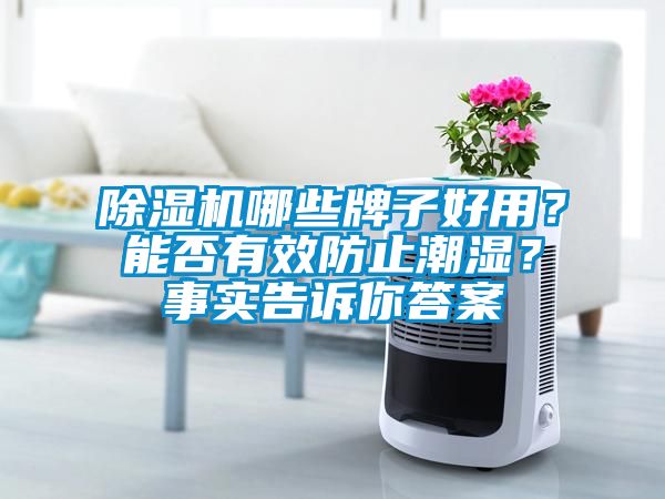 除濕機哪些牌子好用？能否有效防止潮濕？事實告訴你答案