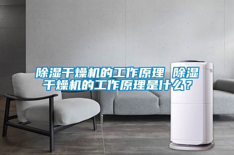 除濕干燥機的工作原理 除濕干燥機的工作原理是什么？