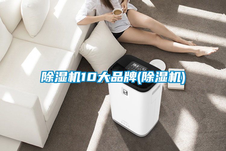 除濕機(jī)10大品牌(除濕機(jī))
