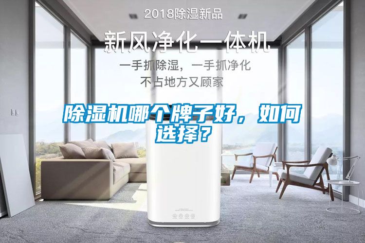 除濕機(jī)哪個(gè)牌子好，如何選擇？