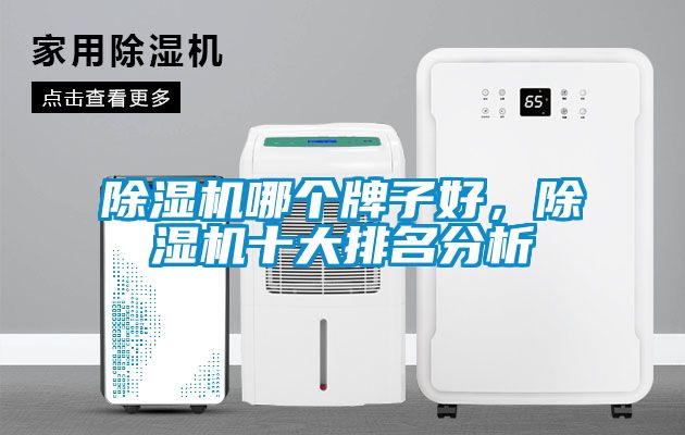 除濕機(jī)哪個(gè)牌子好，除濕機(jī)十大排名分析