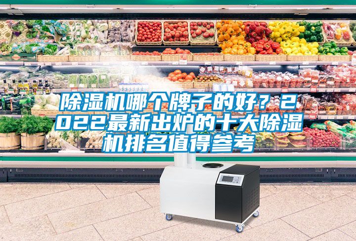 除濕機(jī)哪個(gè)牌子的好？2022最新出爐的十大除濕機(jī)排名值得參考