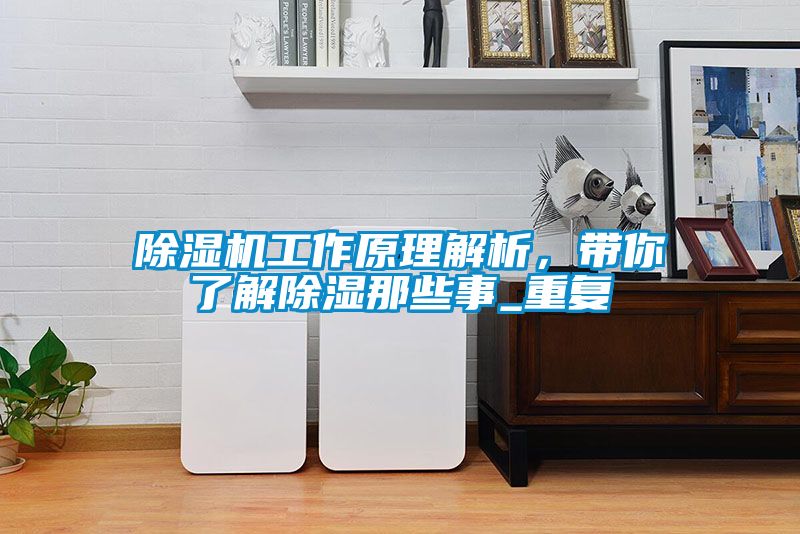 除濕機(jī)工作原理解析，帶你了解除濕那些事_重復(fù)