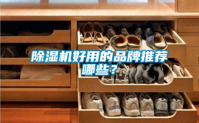 除濕機(jī)好用的品牌推薦哪些？
