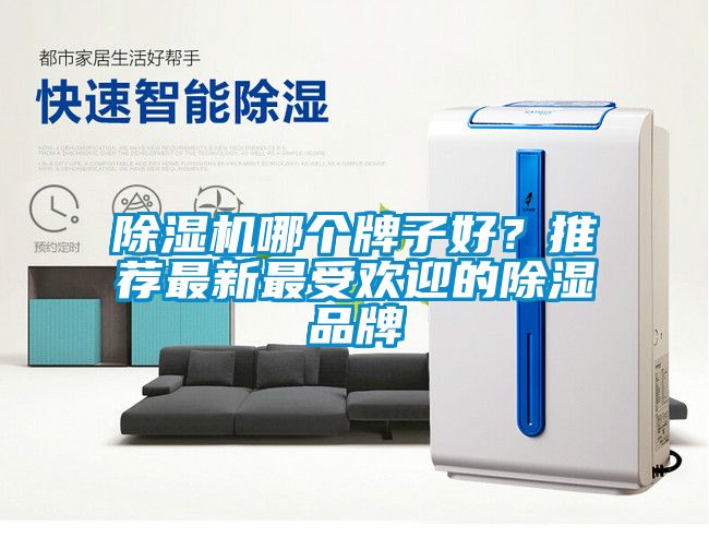 除濕機(jī)哪個牌子好？推薦最新最受歡迎的除濕品牌