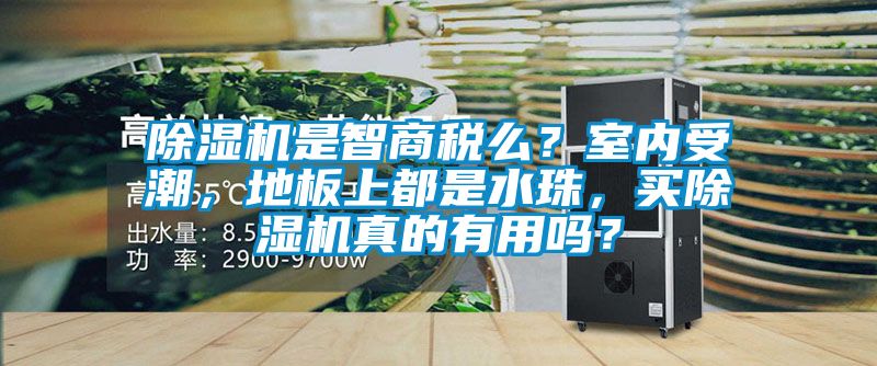 除濕機(jī)是智商稅么？室內(nèi)受潮，地板上都是水珠，買除濕機(jī)真的有用嗎？