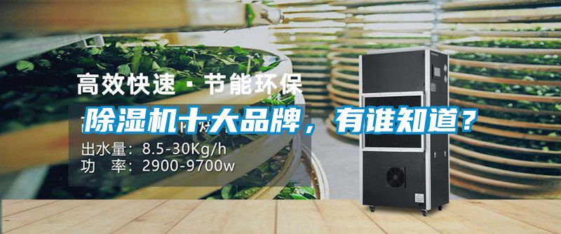 除濕機(jī)十大品牌，有誰知道？