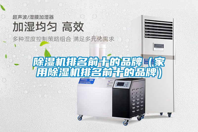 除濕機(jī)排名前十的品牌（家用除濕機(jī)排名前十的品牌）
