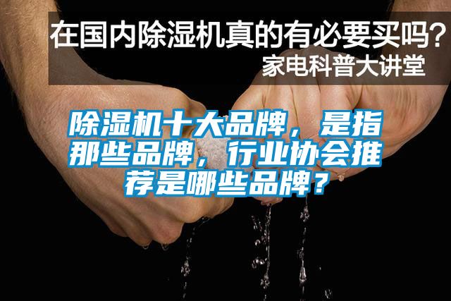 除濕機(jī)十大品牌，是指那些品牌，行業(yè)協(xié)會推薦是哪些品牌？
