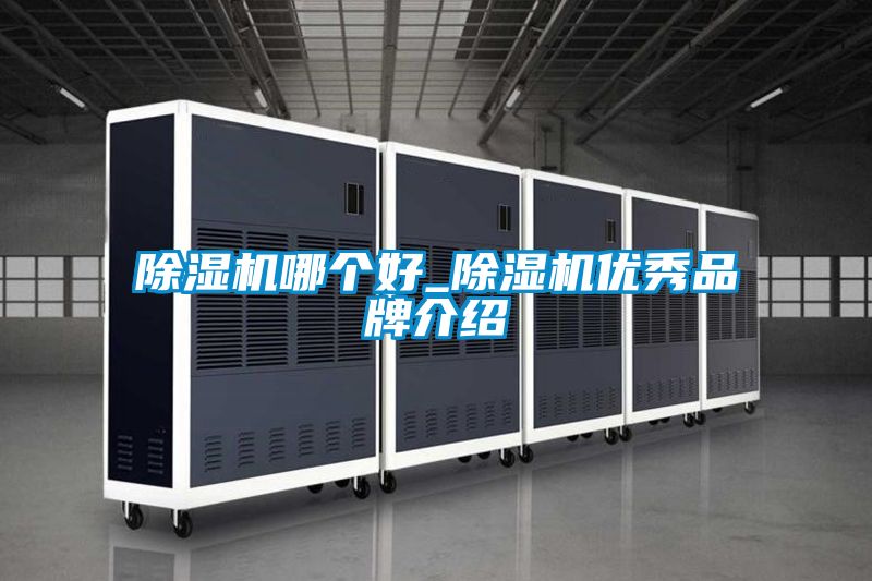 除濕機(jī)哪個(gè)好_除濕機(jī)優(yōu)秀品牌介紹