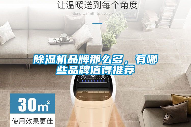 除濕機(jī)品牌那么多，有哪些品牌值得推薦