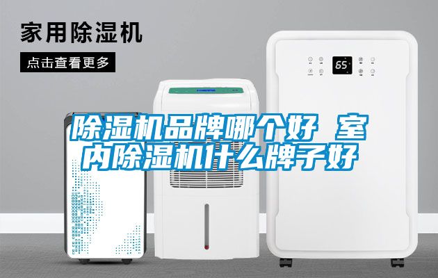 除濕機(jī)品牌哪個(gè)好 室內(nèi)除濕機(jī)什么牌子好