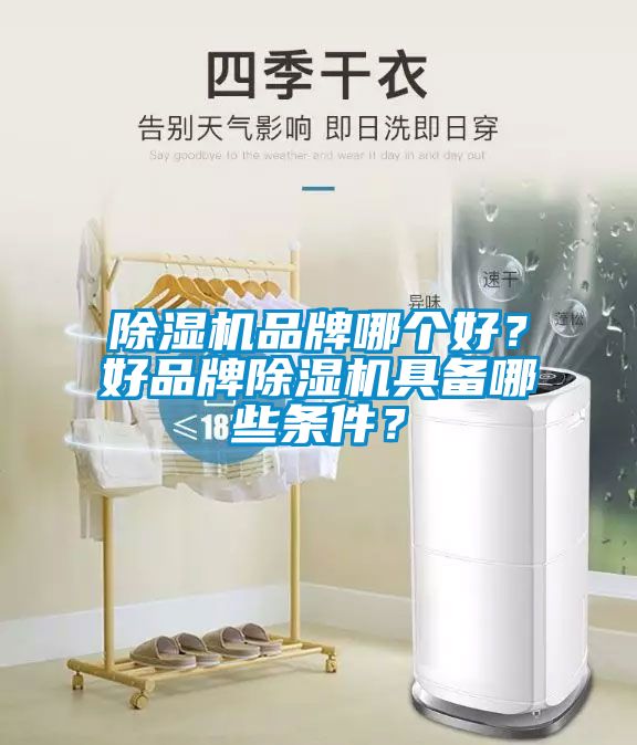 除濕機(jī)品牌哪個(gè)好？好品牌除濕機(jī)具備哪些條件？
