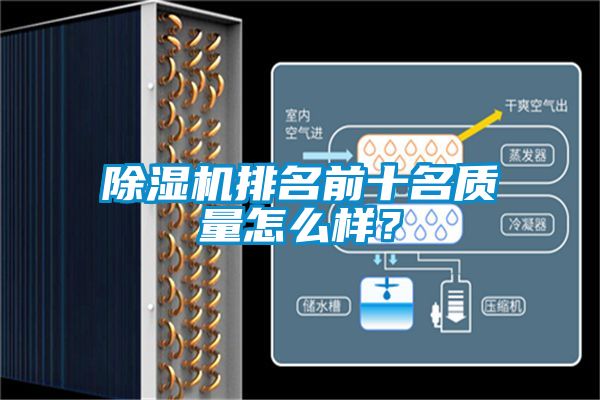 除濕機(jī)排名前十名質(zhì)量怎么樣？