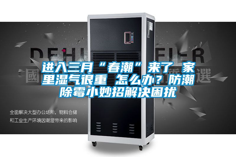 進(jìn)入三月“春潮”來了 家里濕氣很重 怎么辦？防潮除霉小妙招解決困擾