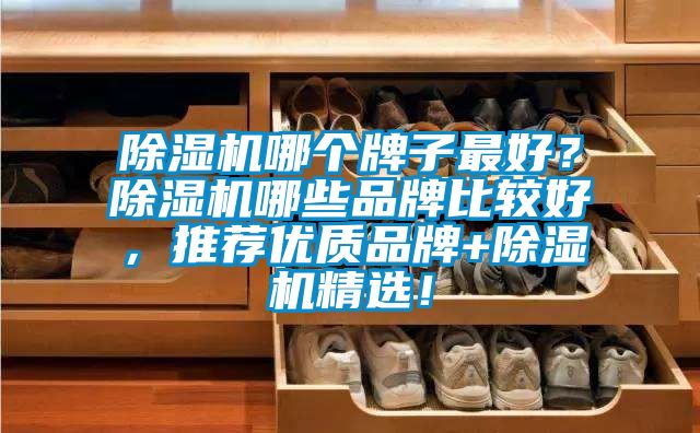 除濕機(jī)哪個牌子最好？除濕機(jī)哪些品牌比較好，推薦優(yōu)質(zhì)品牌+除濕機(jī)精選！