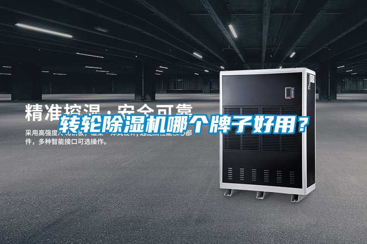 轉輪除濕機哪個牌子好用？