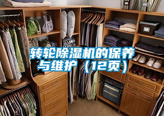 轉(zhuǎn)輪除濕機(jī)的保養(yǎng)與維護(hù)（12頁）