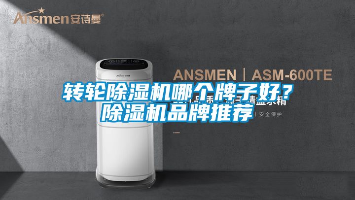 轉(zhuǎn)輪除濕機哪個牌子好？除濕機品牌推薦