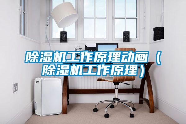 除濕機(jī)工作原理動畫（除濕機(jī)工作原理）