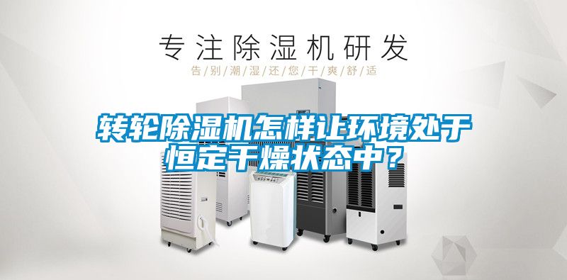 轉(zhuǎn)輪除濕機怎樣讓環(huán)境處于恒定干燥狀態(tài)中？