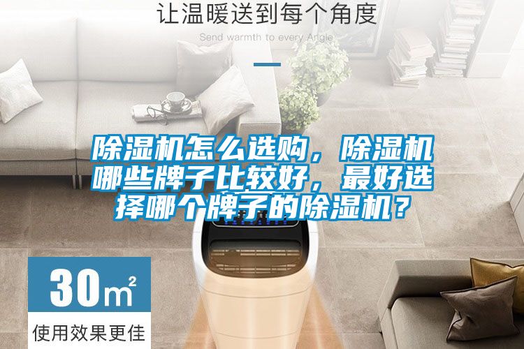 除濕機(jī)怎么選購(gòu)，除濕機(jī)哪些牌子比較好，最好選擇哪個(gè)牌子的除濕機(jī)？