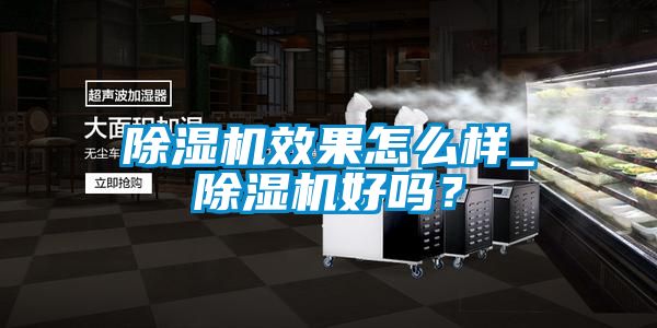 除濕機(jī)效果怎么樣_除濕機(jī)好嗎？