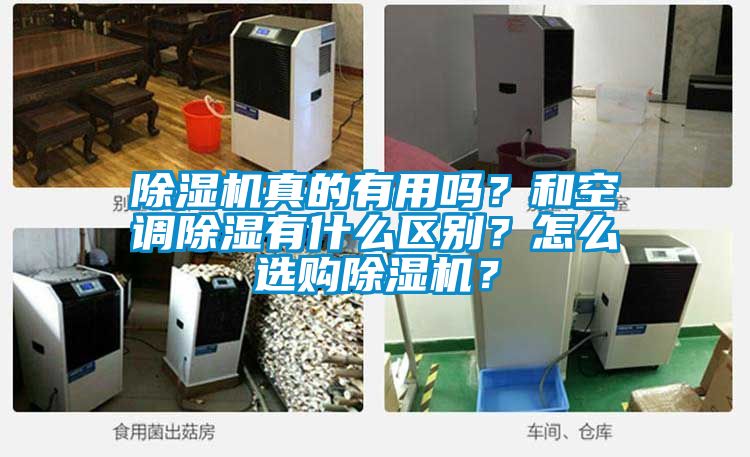 除濕機(jī)真的有用嗎？和空調(diào)除濕有什么區(qū)別？怎么選購(gòu)除濕機(jī)？