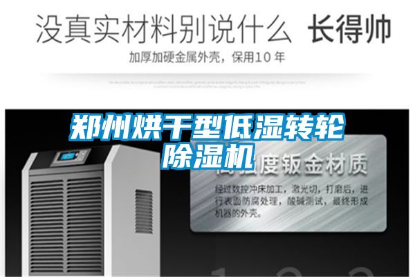鄭州烘干型低濕轉(zhuǎn)輪除濕機