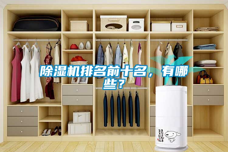 除濕機(jī)排名前十名，有哪些？
