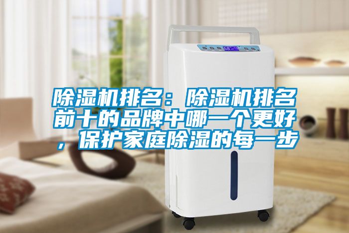 除濕機(jī)排名：除濕機(jī)排名前十的品牌中哪一個(gè)更好，保護(hù)家庭除濕的每一步