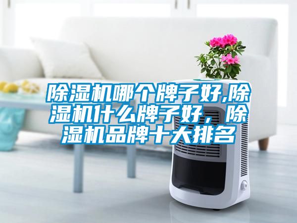 除濕機(jī)哪個(gè)牌子好,除濕機(jī)什么牌子好，除濕機(jī)品牌十大排名