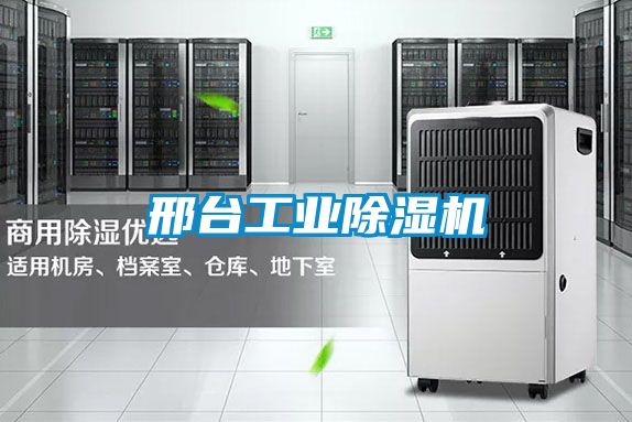 邢臺工業(yè)除濕機