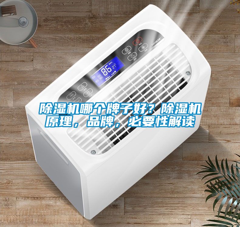 除濕機(jī)哪個(gè)牌子好？除濕機(jī)原理，品牌，必要性解讀