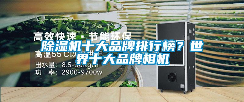 除濕機十大品牌排行榜？世界十大品牌相機