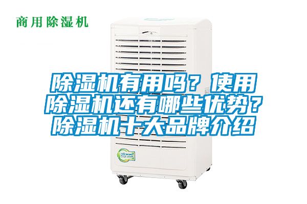 除濕機有用嗎？使用除濕機還有哪些優(yōu)勢？除濕機十大品牌介紹