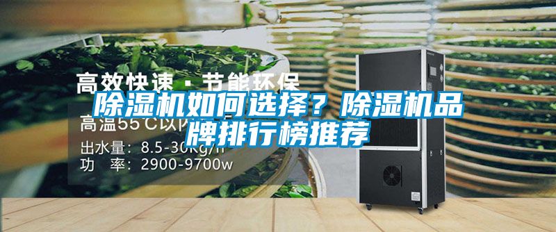 除濕機(jī)如何選擇？除濕機(jī)品牌排行榜推薦