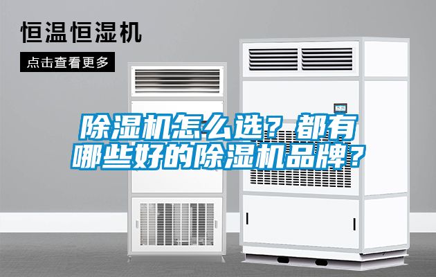 除濕機(jī)怎么選？都有哪些好的除濕機(jī)品牌？