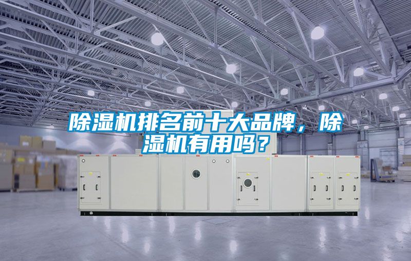 除濕機(jī)排名前十大品牌，除濕機(jī)有用嗎？