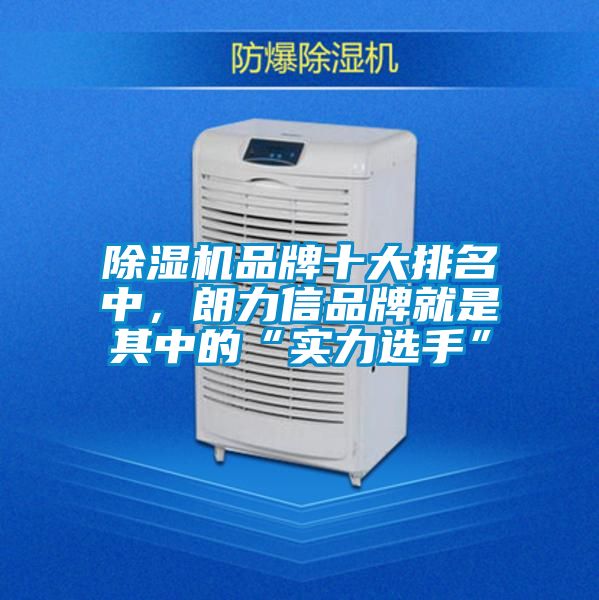 除濕機(jī)品牌十大排名中，朗力信品牌就是其中的“實(shí)力選手”