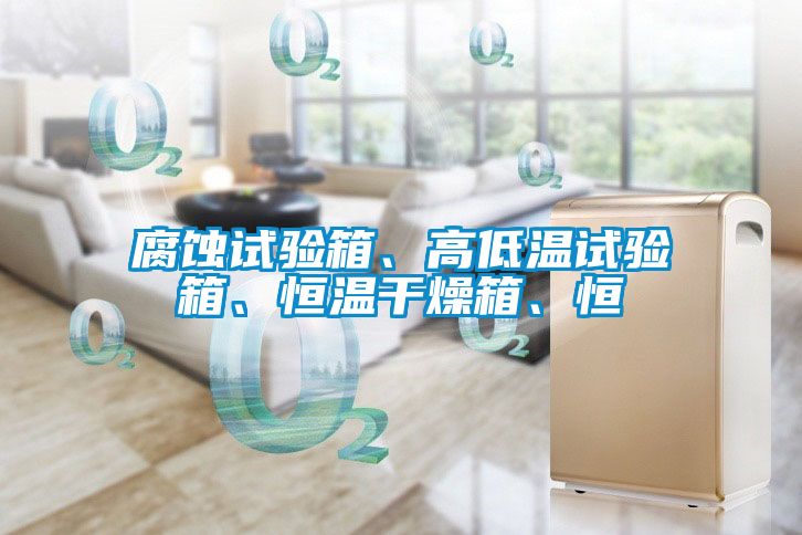 腐蝕試驗(yàn)箱、高低溫試驗(yàn)箱、恒溫干燥箱、恒