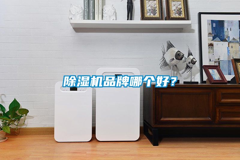 除濕機品牌哪個好？