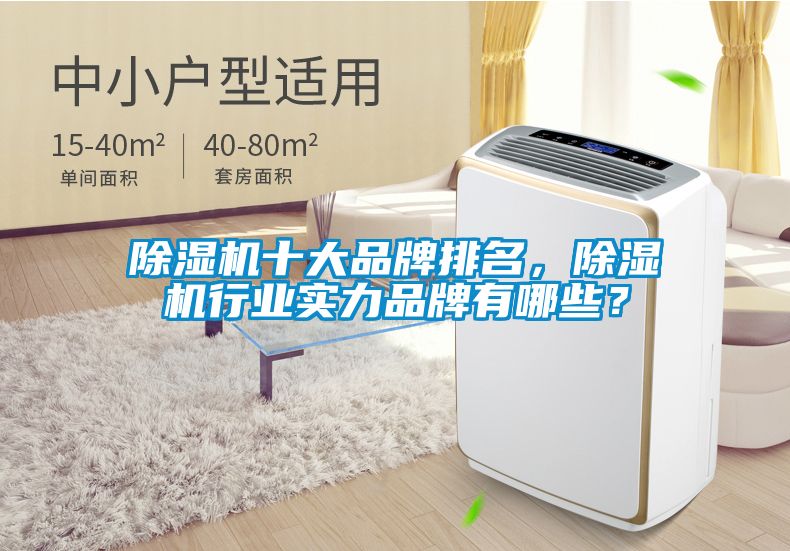 除濕機(jī)十大品牌排名，除濕機(jī)行業(yè)實(shí)力品牌有哪些？