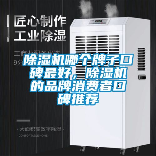 除濕機(jī)哪個牌子口碑最好，除濕機(jī)的品牌消費者口碑推薦