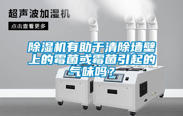 除濕機有助于清除墻壁上的霉菌或霉菌引起的氣味嗎？