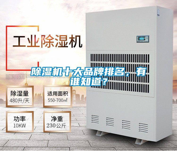 除濕機十大品牌排名，有誰知道？