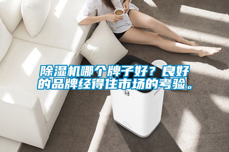 除濕機(jī)哪個(gè)牌子好？良好的品牌經(jīng)得住市場的考驗(yàn)。