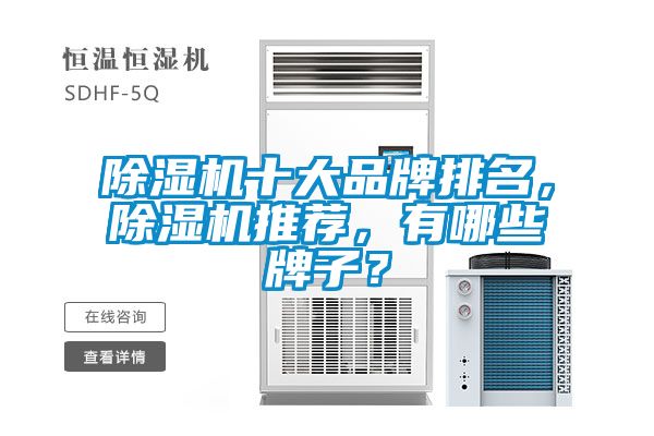 除濕機(jī)十大品牌排名，除濕機(jī)推薦，有哪些牌子？