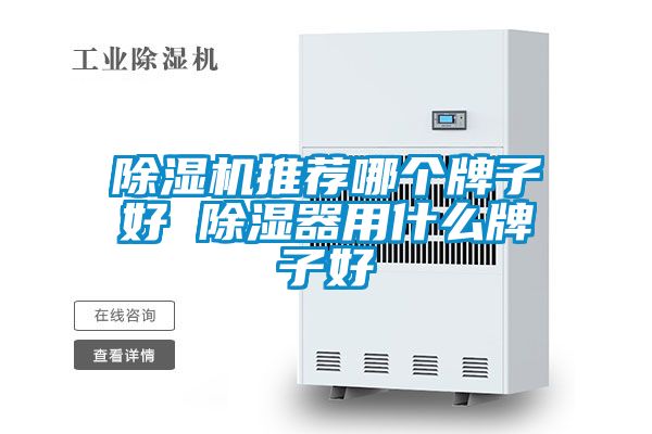 除濕機(jī)推薦哪個牌子好 除濕器用什么牌子好