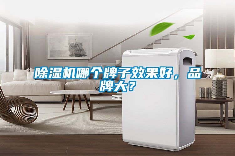 除濕機(jī)哪個(gè)牌子效果好，品牌大？